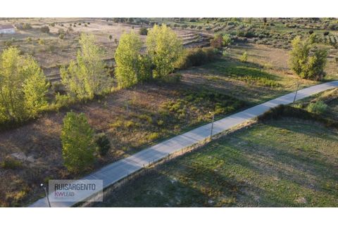 Terra a Ladoeiro, Castelo Branco, Ladoeiro - € 780.000 | Ref: TER_180RS1217-3079 - foto 23