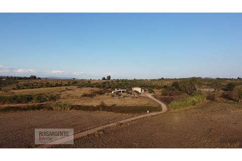 Terra a Ladoeiro, Castelo Branco, Ladoeiro - € 780.000 | Ref: TER_180RS1217-3079 - foto 24