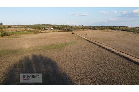 Terra a Ladoeiro, Castelo Branco, Ladoeiro - € 780.000 | Ref: TER_180RS1217-3079 - foto 25