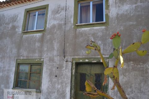 Terra a Ladoeiro, Castelo Branco, Ladoeiro - € 780.000 | Ref: TER_180RS1217-3079 - foto 27
