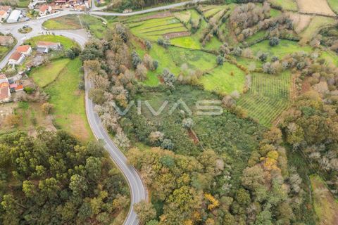 Helårsgrund i Vila Verde, Braga, Vila Verde - € 55.000 | Ref: 01-3584 - foto 5