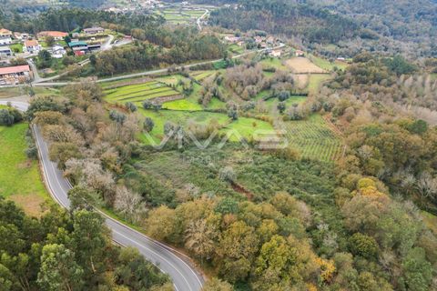 Helårsgrund i Vila Verde, Braga, Vila Verde - € 55.000 | Ref: 01-3584 - foto 6