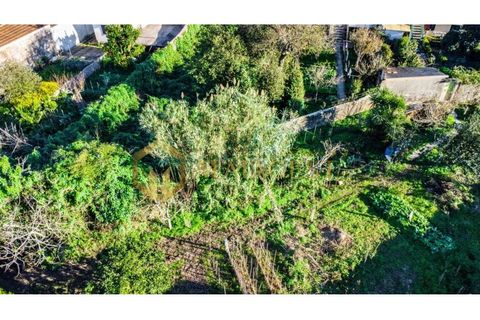Villa i Madalena, Porto, Madalena - € 170.000 | Ref: vng_P250304 - foto 4