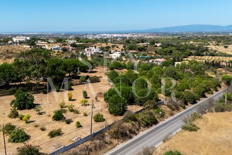Helårsgrund i Carvoeiro, Faro, Carvoeiro - € 550.000 | Ref: Spy-00127B - foto 11