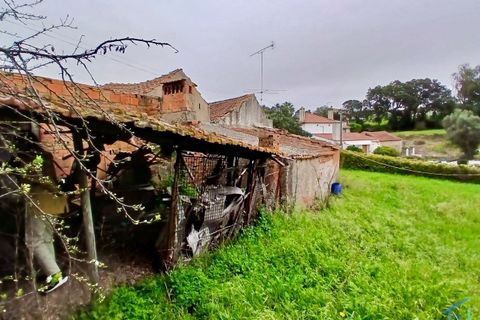 Villa a Assentiz, Santarem, Assentiz - € 40.000 | Ref: VCP433 - foto 6
