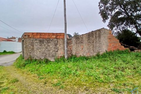 Villa a Assentiz, Santarem, Assentiz - € 40.000 | Ref: VCP433 - foto 19