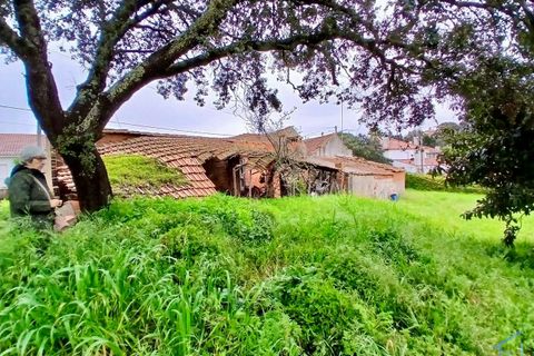 Villa a Assentiz, Santarem, Assentiz - € 40.000 | Ref: VCP433 - foto 20