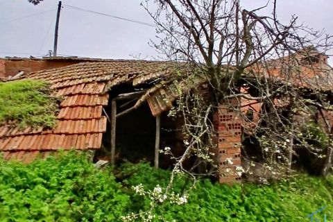 Villa a Assentiz, Santarem, Assentiz - € 40.000 | Ref: VCP433 - foto 21