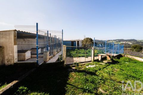 Byhus i Caldas da Rainha, Leiria, Caldas da Rainha - € 695.000 | Ref: 138991 - foto 9
