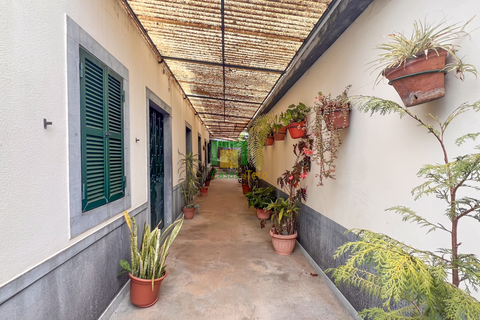 Villa i Camara de Lobos, Madeira, Camara de Lobos - € 350.000 | Ref: CT-1774/2025 - foto 2