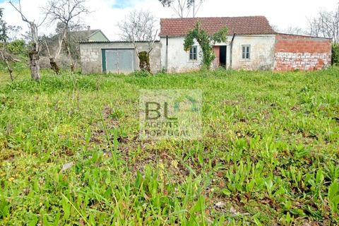 Villa i Pombal, Leiria, Pombal - € 59.990 | Ref: CAS_548 - foto 2