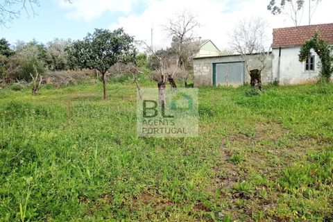 Villa i Pombal, Leiria, Pombal - € 59.990 | Ref: CAS_548 - foto 4