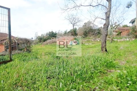 Villa i Pombal, Leiria, Pombal - € 59.990 | Ref: CAS_548 - foto 7