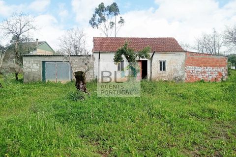 Villa i Pombal, Leiria, Pombal - € 59.990 | Ref: CAS_548 - foto 12