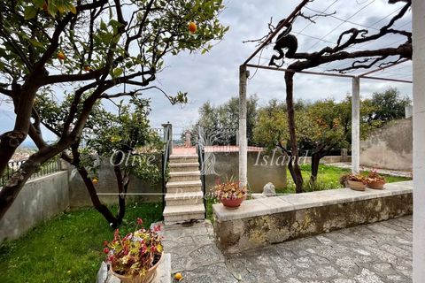 Farm hus i Selva, Mallorca, Selva - € 595.000 | Ref: SELV541 - foto 16