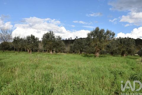 Helårsgrund i Ourem, Santarem, Ourem - € 48.920 | Ref: 139338 - foto 8