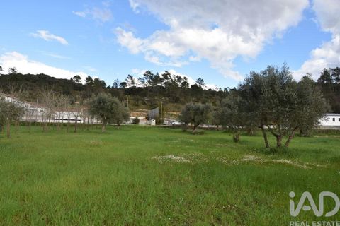 Helårsgrund i Ourem, Santarem, Ourem - € 48.920 | Ref: 139338 - foto 17