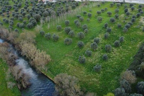 Helårsgrund i Ourem, Santarem, Ourem - € 48.920 | Ref: 139338 - foto 21