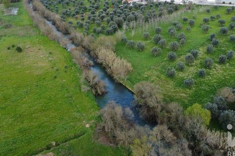 Helårsgrund i Ourem, Santarem, Ourem - € 48.920 | Ref: 139338 - foto 22