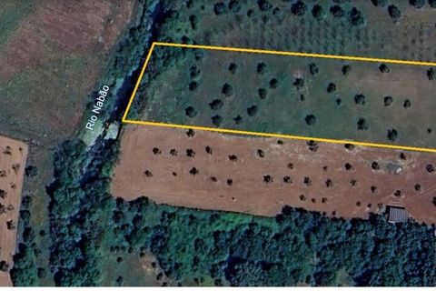 Helårsgrund i Ourem, Santarem, Ourem - € 48.920 | Ref: 139338 - foto 26