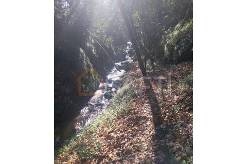Helårsgrund i Bela, Viana do Castelo, Bela - € 95.000 | Ref: SAFTI:005933 - foto 6