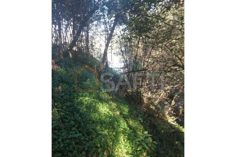 Helårsgrund i Bela, Viana do Castelo, Bela - € 95.000 | Ref: SAFTI:005933 - foto 15
