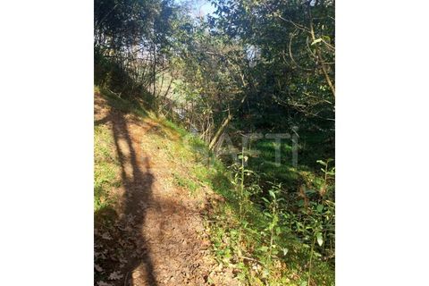 Helårsgrund i Bela, Viana do Castelo, Bela - € 95.000 | Ref: SAFTI:005933 - foto 16
