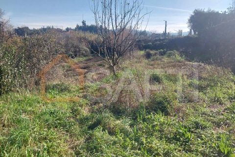 Helårsgrund i Bela, Viana do Castelo, Bela - € 95.000 | Ref: SAFTI:005933 - foto 17