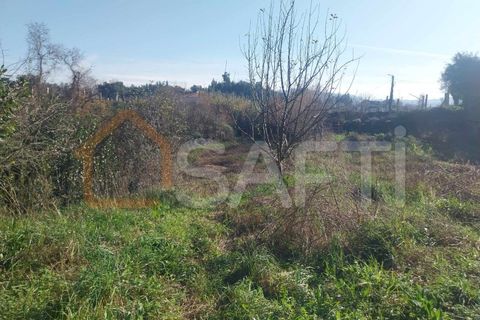 Helårsgrund i Bela, Viana do Castelo, Bela - € 95.000 | Ref: SAFTI:005933 - foto 18