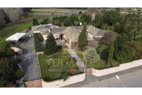 Farm i Aveiro, Aveiro, Aveiro - € 540.000 | Ref: VMI022025-20 - foto 1