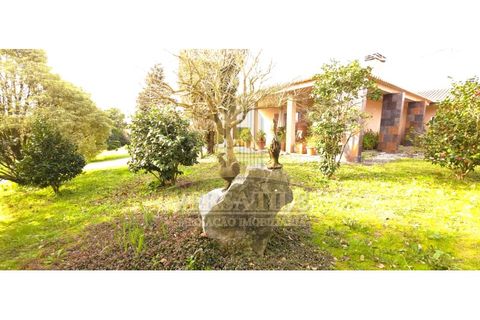 Farm i Aveiro, Aveiro, Aveiro - € 540.000 | Ref: VMI022025-20 - foto 3