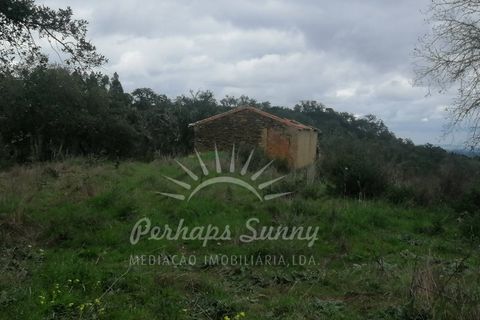 Helårsgrund i Odemira, Beja, Odemira - € 349.000 | Ref: PHS742/25 - foto 11