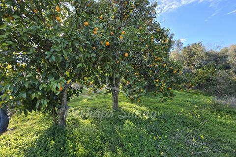 Helårsgrund i Odemira, Beja, Odemira - € 349.000 | Ref: PHS742/25 - foto 13