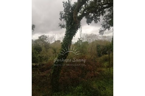 Helårsgrund i Odemira, Beja, Odemira - € 349.000 | Ref: PHS742/25 - foto 14