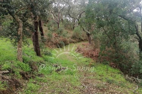 Helårsgrund i Odemira, Beja, Odemira - € 349.000 | Ref: PHS742/25 - foto 16