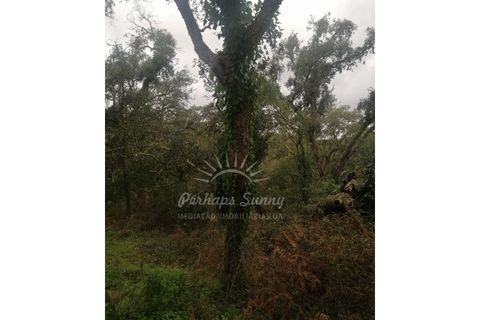 Helårsgrund i Odemira, Beja, Odemira - € 349.000 | Ref: PHS742/25 - foto 17