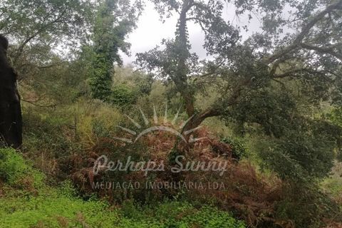 Helårsgrund i Odemira, Beja, Odemira - € 349.000 | Ref: PHS742/25 - foto 18