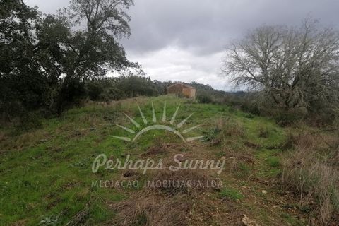 Helårsgrund i Odemira, Beja, Odemira - € 349.000 | Ref: PHS742/25 - foto 19