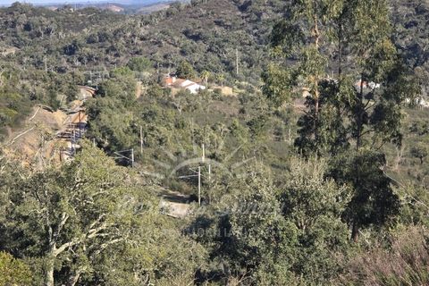 Helårsgrund i Odemira, Beja, Odemira - € 349.000 | Ref: PHS742/25 - foto 20