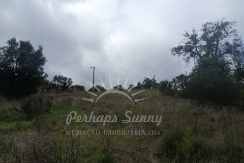 Helårsgrund i Odemira, Beja, Odemira - € 349.000 | Ref: PHS742/25 - foto 22