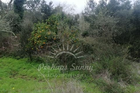 Helårsgrund i Odemira, Beja, Odemira - € 349.000 | Ref: PHS742/25 - foto 25