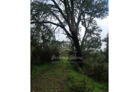 Helårsgrund i Odemira, Beja, Odemira - € 349.000 | Ref: PHS742/25 - foto 26