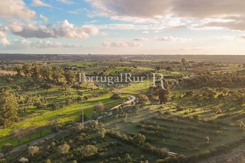 Landejendom i Arez e Amieira do Tejo, Portalegre, Arez e Amieira do Tejo - € 450.000 | Ref: FG348 - foto 4