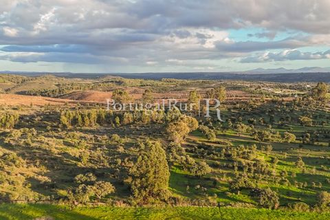 Landejendom i Arez e Amieira do Tejo, Portalegre, Arez e Amieira do Tejo - € 450.000 | Ref: FG348 - foto 5