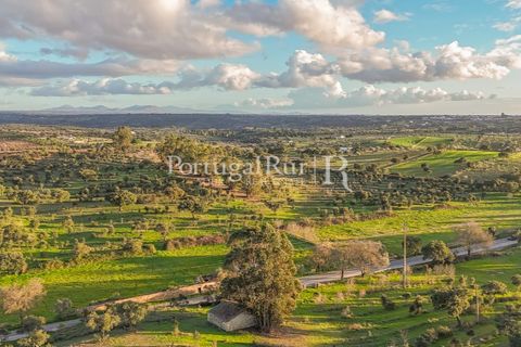 Landejendom i Arez e Amieira do Tejo, Portalegre, Arez e Amieira do Tejo - € 450.000 | Ref: FG348 - foto 6