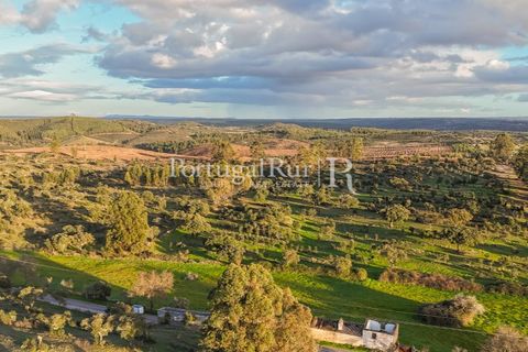 Landejendom i Arez e Amieira do Tejo, Portalegre, Arez e Amieira do Tejo - € 450.000 | Ref: FG348 - foto 7