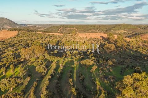 Landejendom i Arez e Amieira do Tejo, Portalegre, Arez e Amieira do Tejo - € 450.000 | Ref: FG348 - foto 8