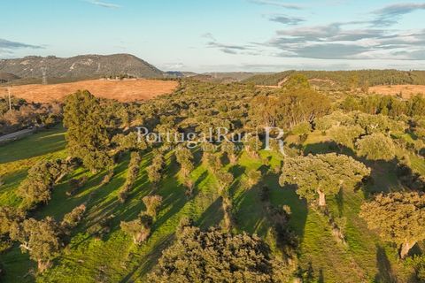 Landejendom i Arez e Amieira do Tejo, Portalegre, Arez e Amieira do Tejo - € 450.000 | Ref: FG348 - foto 9