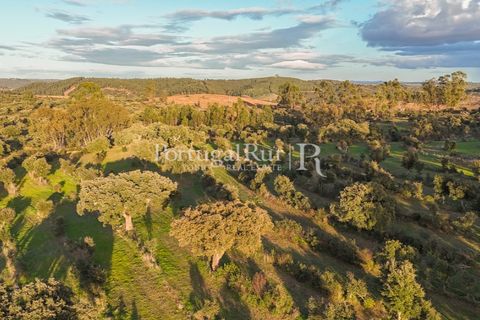 Landejendom i Arez e Amieira do Tejo, Portalegre, Arez e Amieira do Tejo - € 450.000 | Ref: FG348 - foto 10