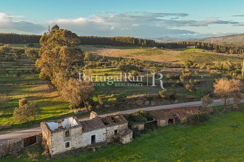 Landejendom i Arez e Amieira do Tejo, Portalegre, Arez e Amieira do Tejo - € 450.000 | Ref: FG348 - foto 11